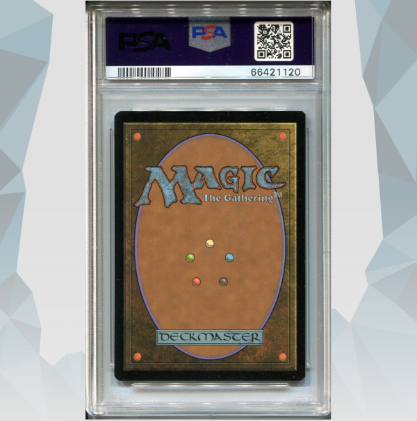 PSA Gradering: Standard / Bulk TCG Mars 2025 - Bild 5